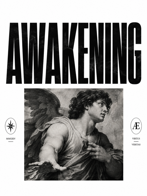 awakening Max Heavyweight Garment-Dyed T-Shirt